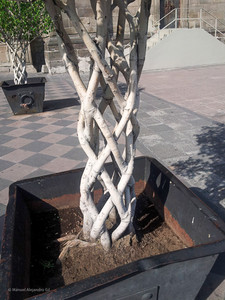 20130222_160022.jpg