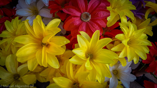 20160409_184205.jpg