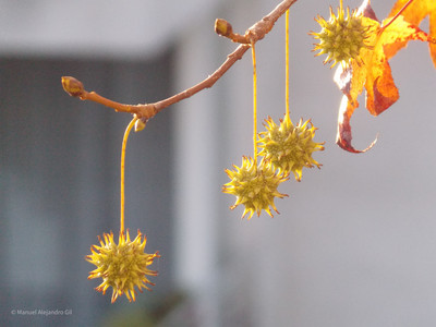 DSCN3037.jpg