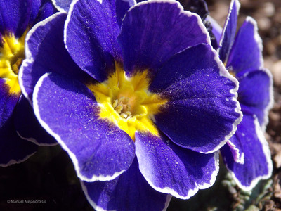 DSCN3093.jpg