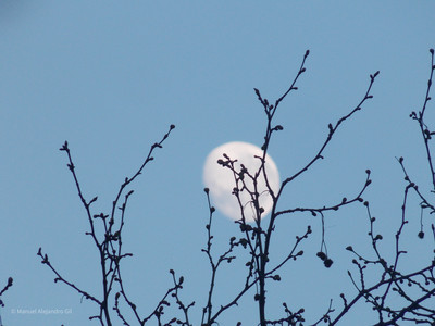 DSCN3426.jpg