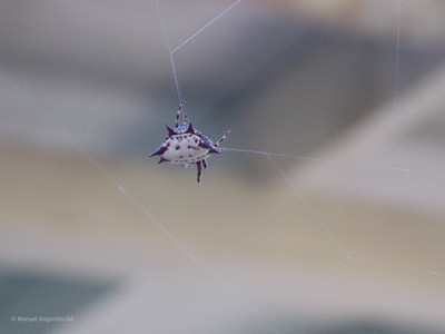DSCN4399.jpg