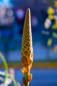 DSC_0030.jpg