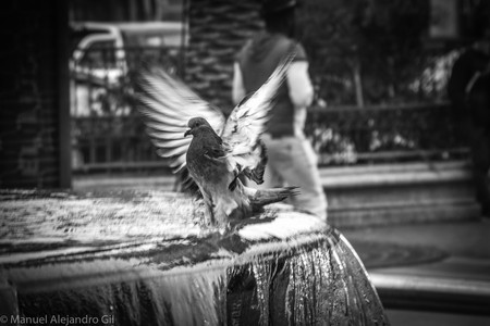 DSC_0031.jpg