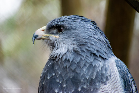 DSC_0036.jpg