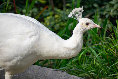 DSC_0056.jpg