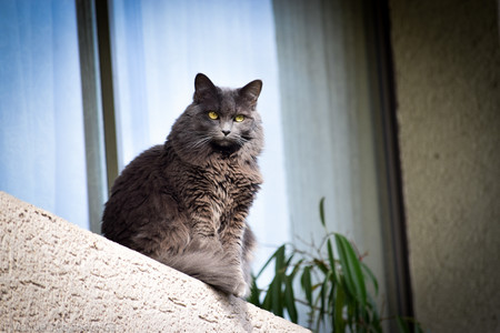 DSC_0076.jpg