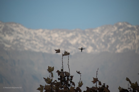 DSC_0142.jpg