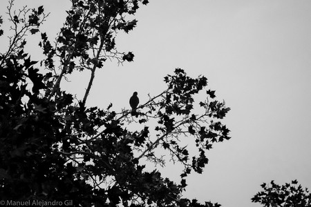 DSC_0147.jpg