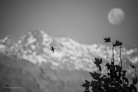 DSC_0158.jpg