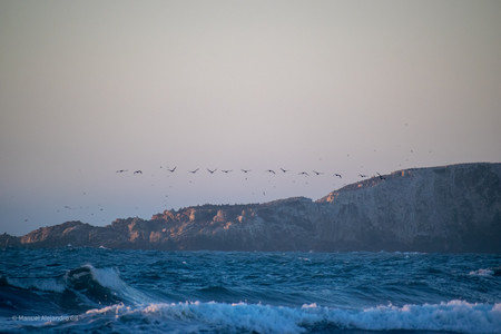 DSC_0188.jpg