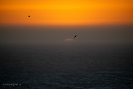 DSC_0199.jpg