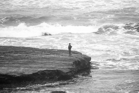 DSC_0205.jpg