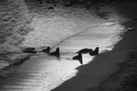 DSC_0206.jpg