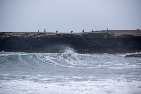 DSC_0213.jpg