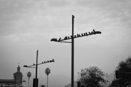 DSC_0229.jpg