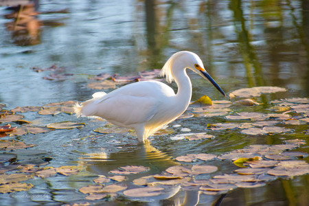 DSC_0247.jpg
