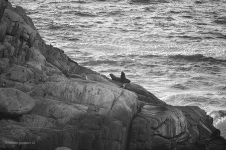 DSC_0257.jpg