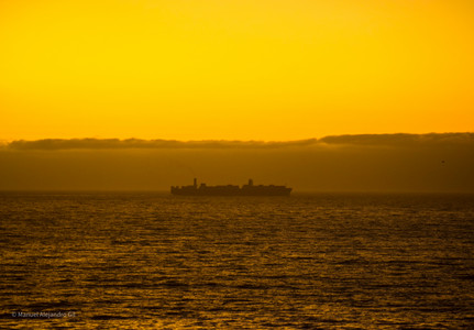 DSC_0259.jpg