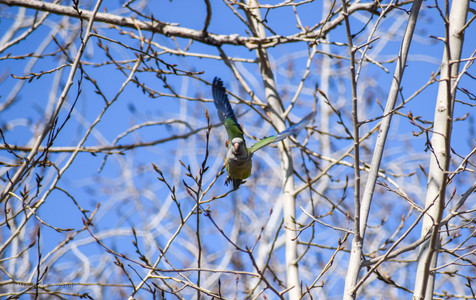 DSC_0264.jpg
