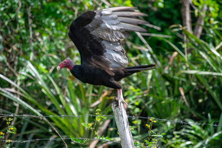 DSC_0266.jpg