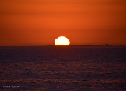 DSC_0316.jpg