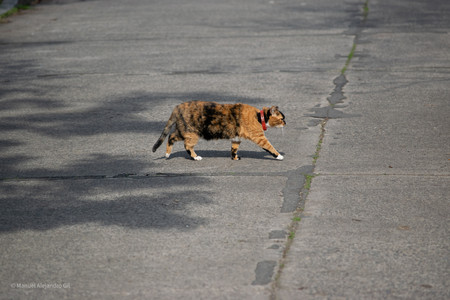 DSC_0341-2.jpg