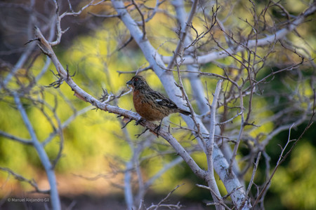 DSC_0347.jpg
