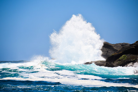 DSC_0354.jpg