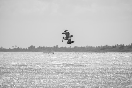 DSC_0368.jpg