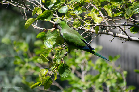 DSC_0369.jpg
