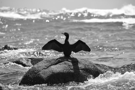 DSC_0384.jpg
