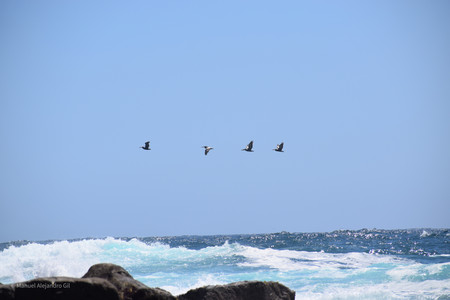 DSC_0389-3.jpg
