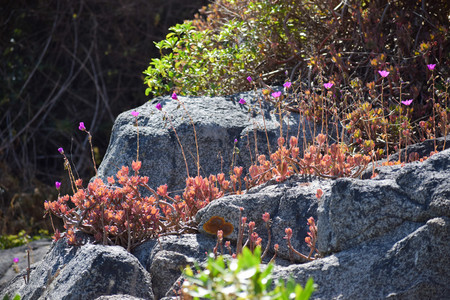 DSC_0447.jpg