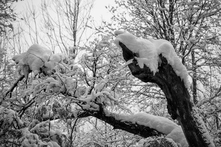 DSC_0512.jpg
