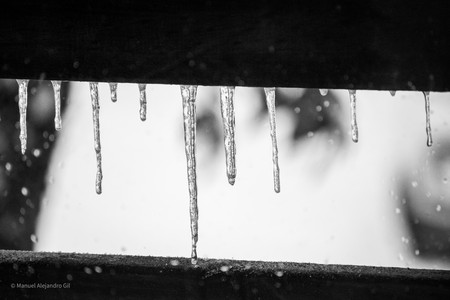 DSC_0520.jpg