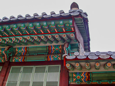 SANY0015-2.jpg