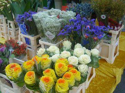 SL270587.jpg