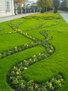 Samsung_L7001286.jpg